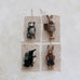 Forest Animal Ornaments